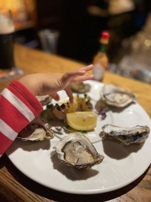 Paddy Burkes Bar & Restaurant by null