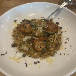 Scallops w risotto Scallops w risotto