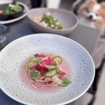 Rotation By Feast It Forward - Kanpachi Crudo w/ rhubarb ponzu, radishes, cucumber, daikon leek puree ($24) - American Near Me - Napa, California