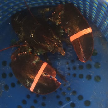 Menemsha Fish Market - Seafood Markets Near Me - Chilmark, Massachusetts