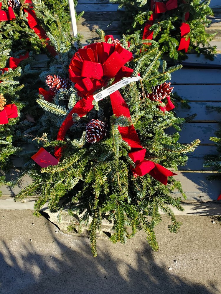 RAY WIEGAND’S NURSERY 300 Photos & 25 Reviews 47747 Romeo Plank Rd