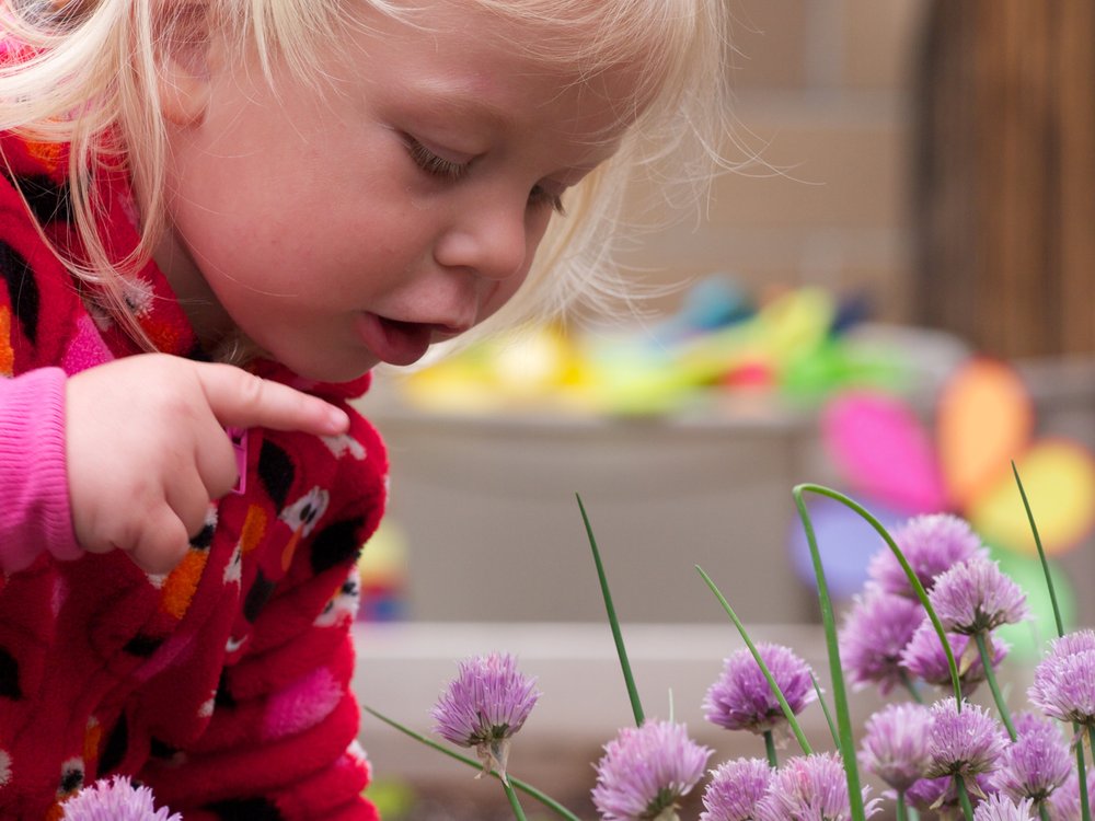 Laura's Child Care - childcare center in Englewood, CO