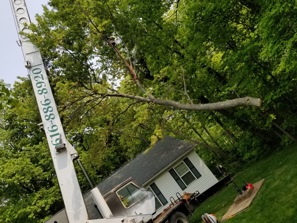 Gill’s Tree Service - tree service in Fennville, MI