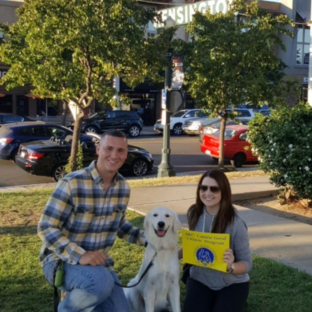 Dogs With Dave - We are so proud of our little girl! - Pet Training Near Me Dogs With Dave - We are so proud of our little girl! - Pet Training Near Me