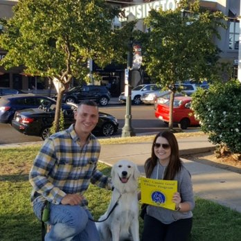 Dogs With Dave - We are so proud of our little girl! - Pet Training Near Me Dogs With Dave - We are so proud of our little girl! - Pet Training Near Me