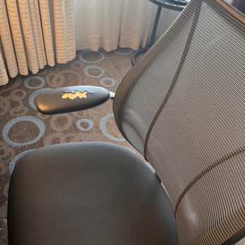 Marriott Marquis Washington, DC - Hotels Near Me - Washington, DC, District of Columbia Marriott Marquis Washington, DC - Hotels Near Me - Washington, DC, District of Columbia