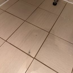 What is that? What is that?
