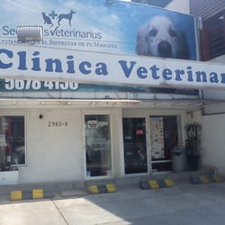 Clínica Veterinaria