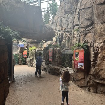 Downtown Aquarium - Museums Near Me - Denver, Colorado Downtown Aquarium - Museums Near Me - Denver, Colorado
