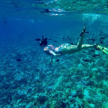 Maui Reef Adventures - Molokini crater - Snorkeling Near Me - Ma'alaea, Hawaii Maui Reef Adventures - Molokini crater - Snorkeling Near Me - Ma'alaea, Hawaii