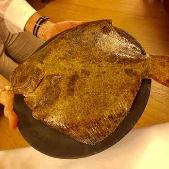 Casa Urola - Whole turbot for observation before preparation - Basque Near Me - Donostia / San Sebastián, SS Casa Urola - Whole turbot for observation before preparation - Basque Near Me - Donostia / San Sebastián, SS