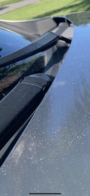 Octopus Car Wash by null