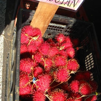 Koloa Farmer's Market - Two big bundles for $5. This price is unbeatable! - Farmers Market Near Me - Koloa, Hawaii Koloa Farmer's Market - Two big bundles for $5. This price is unbeatable! - Farmers Market Near Me - Koloa, Hawaii