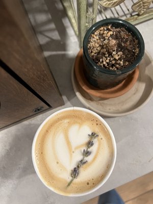 Glasser Coffee Co. by null