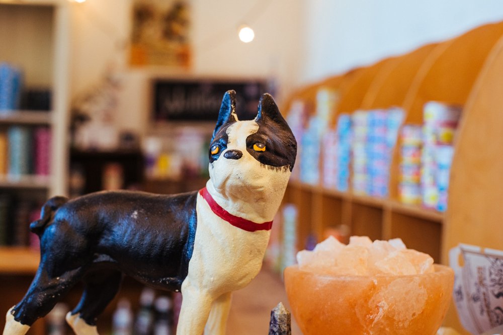 YOUR HEALTHY PET Updated October 2024 12 Photos 819 Straits Tpke