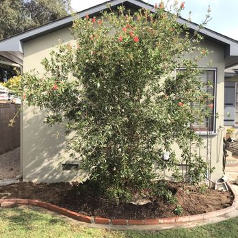 Moon Valley Nurseries - Tree Services Near Me - Irvine, California Moon Valley Nurseries - Tree Services Near Me - Irvine, California