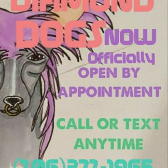 Diamond Dogs - Pet Groomers Near Me - Baltimore, Maryland