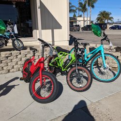 Ramona Performance E-bike