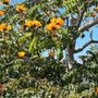 Photo of Self Realization Fellowship Books & Gifts