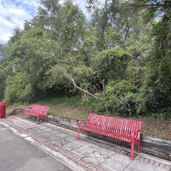 T-Rex Trail - Parks Near Me - Boca Raton, Florida