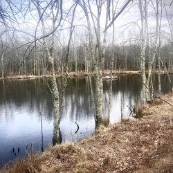 Walden Preserve
