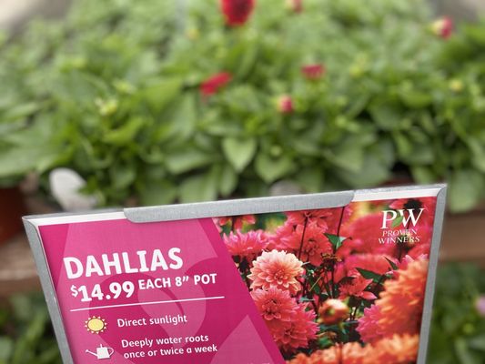 ANDERSON S NEWPORT NEWS Updated December 2025 76 Photos 37