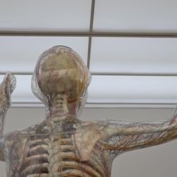 Deutsches Hygiene-Museum