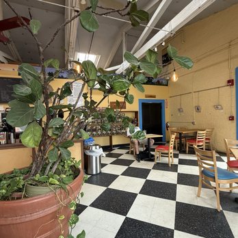 Speeder & Earl's Coffee - tons of seating options and natural light - Coffee & Tea Near Me - Burlington, Vermont Speeder & Earl's Coffee - tons of seating options and natural light - Coffee & Tea Near Me - Burlington, Vermont