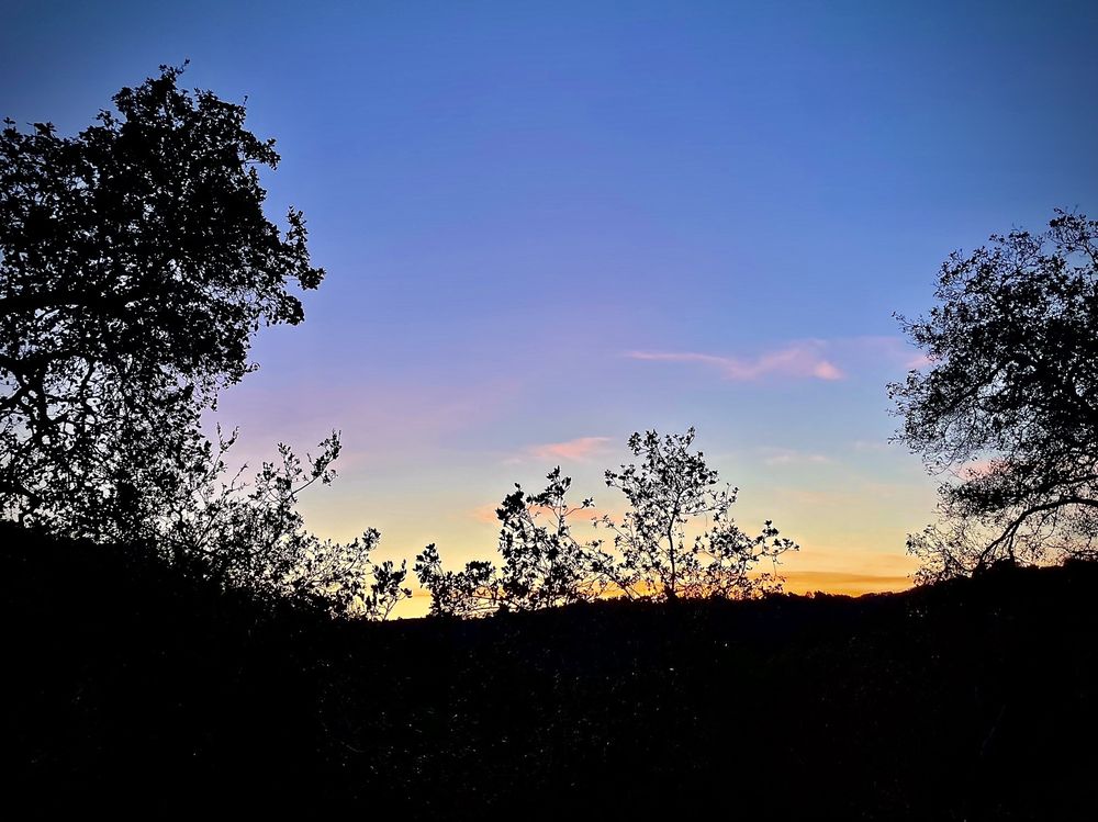 Camino Alto Open Space Preserve Logo
