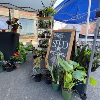 Seed Cafe and Espresso Bar by null