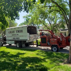Gray Tree Service