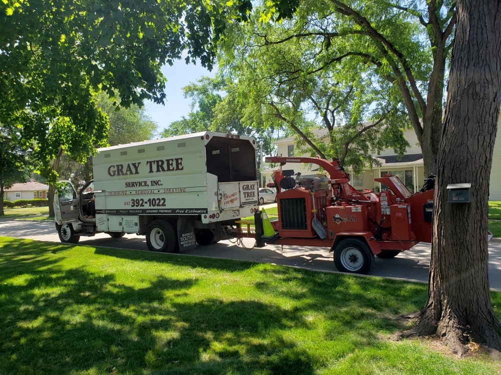 Gray Tree Service - tree service in Mount Prospect, IL