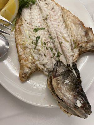 La Sirène de la Mer by null