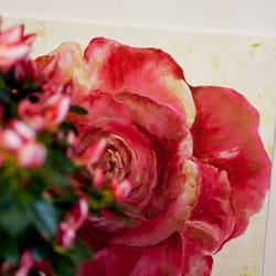 Blumiges