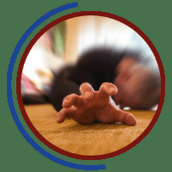 Westchester Neurological Consultants