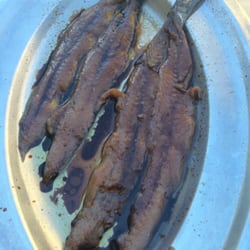 Bar Gilda - Anchoas del cantábrico.