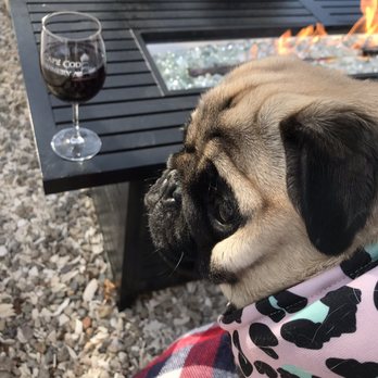 Cape Cod Winery - Winter wine by the fire - Wineries Near Me - Falmouth, Massachusetts