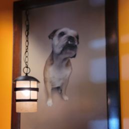 Pretty doggy pictures on the wall Pretty doggy pictures on the wall