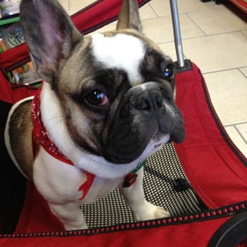 Pet Oasis - Pet Stores Near Me - Staten Island, New York Pet Oasis - Pet Stores Near Me - Staten Island, New York