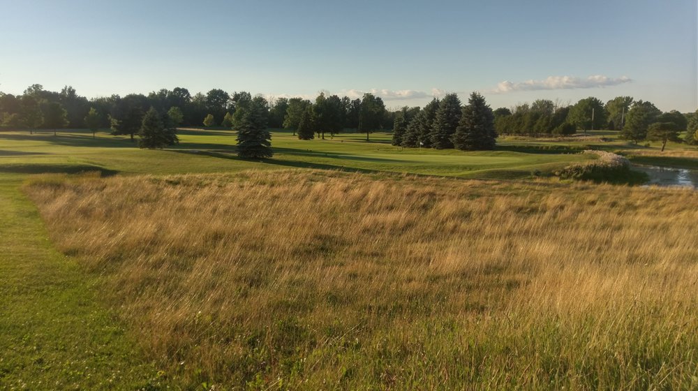 Maple Creek Golf Club Logo