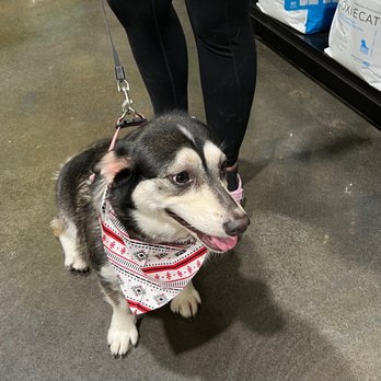 Healthy Paws & Co.  - Pet Stores Near Me - San Antonio, Texas