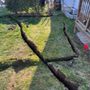 Photo of Precision Sprinklers & Outdoor Lighting