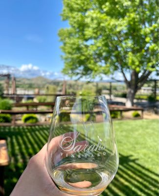 Sarah's Vineyard by null