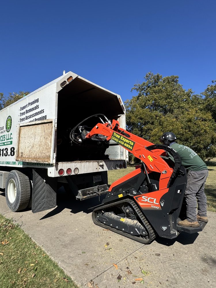 JP Tree Services - tree service in Dallas, TX