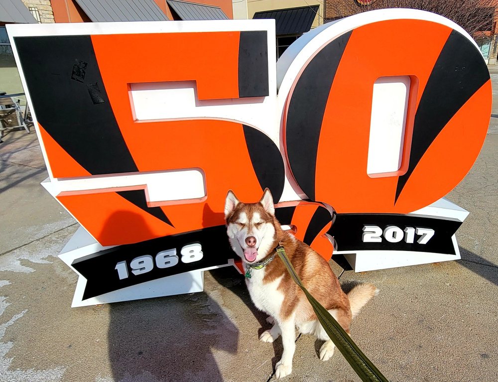 ANDERSON TOWNE CENTER Updated September 2024 19 Photos & 15 Reviews