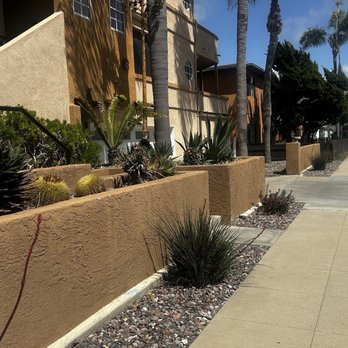 A & C Landscaping - Our property April 2, 2025 (note red driveway curb installed on May 2024) and state of plants - Irrigation Near Me - San Diego, California A & C Landscaping - Our property April 2, 2025 (note red driveway curb installed on May 2024) and state of plants - Irrigation Near Me - San Diego, California