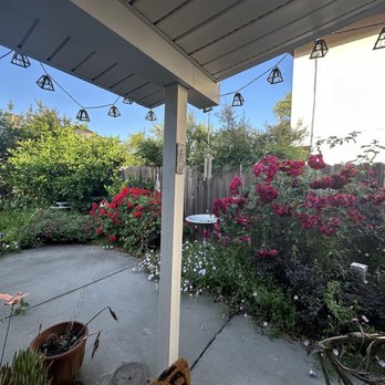 Awaken Landscapes - Before - Landscaping Near Me - Lafayette, California