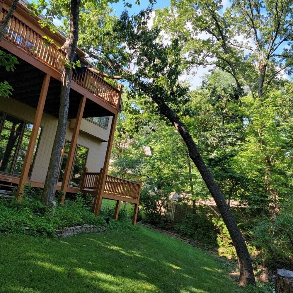 KC Tree Specialist - Tree leaning on the roof - Tree Services Near Me - Kansas, Missouri KC Tree Specialist - Tree leaning on the roof - Tree Services Near Me - Kansas, Missouri