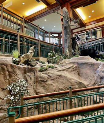 Tallulah Gorge State Park by null