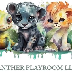 Panther Playroom